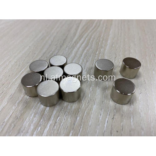 Disc Neodymium magneten 3/4 inch